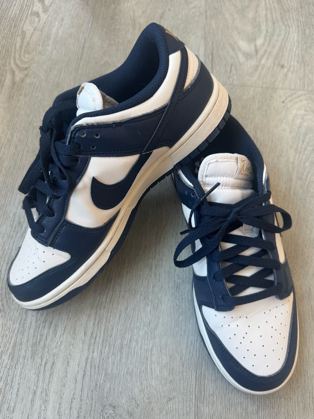 Nike Dunks Navy and White